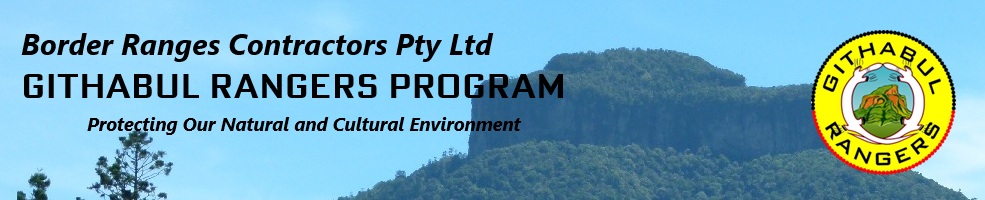 GITHABUL RANGERS PROGRAM